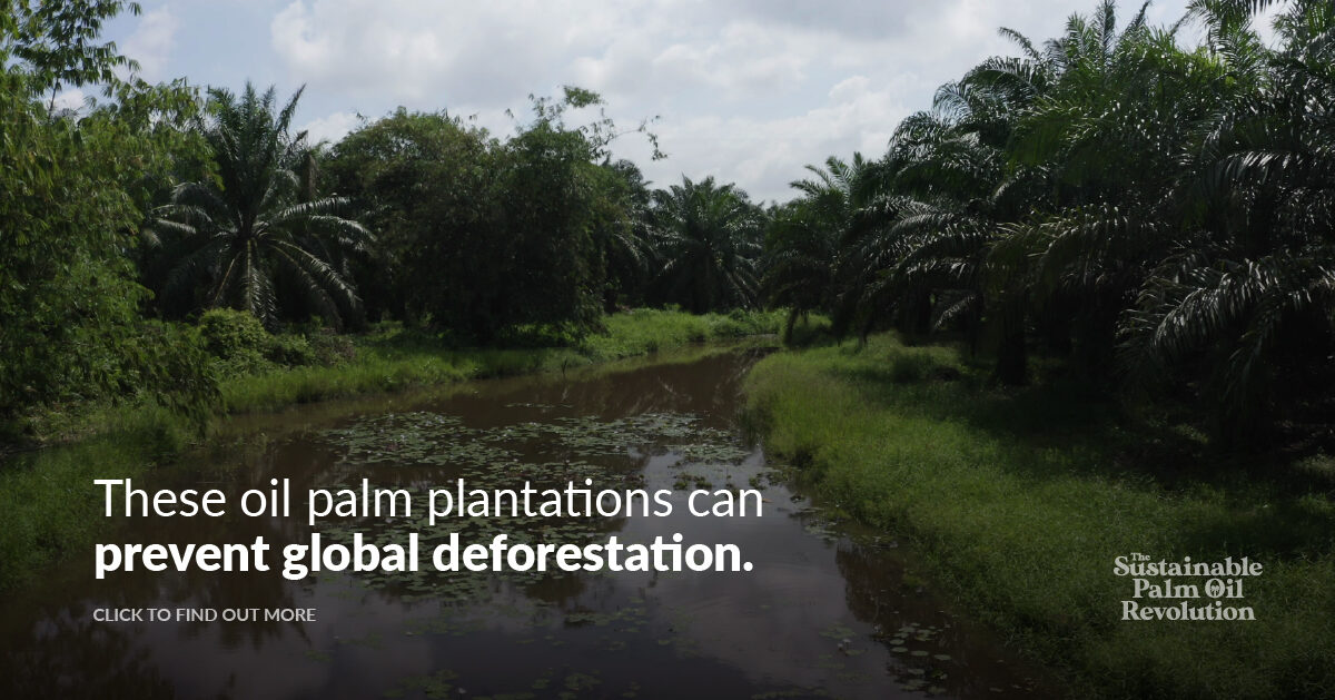 THE SUSTAINABLE PALM OIL REVOLUTION